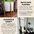 8 Inch Fox & Fern Mid Century Plant Stand Fixed Size Wooden Plant Stand for Indoor Planters (Not Included) - Raised
