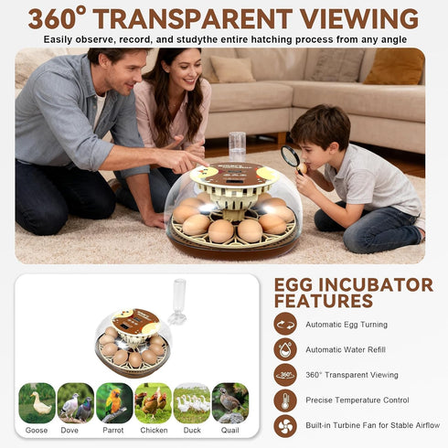 12-Egg Pigeon(12-Egg-Brown) Series I-Automatic Incubator for Beginners, Auto Egg Turn, Steady Self-Regulating Humidity