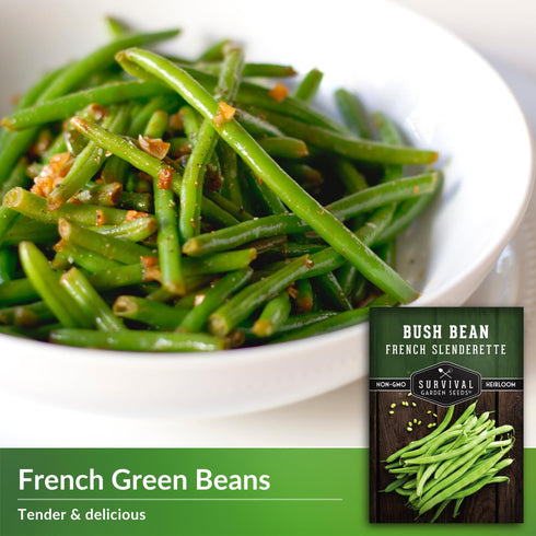2 Packets French Slenderette Bush Bean Seeds for Planting with Instructions to Grow Haricots Verts in Your Home