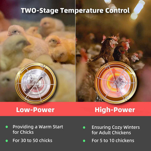 LEWINHOOK lamp300 Chicken Coop Heater Inside Coop heat Watt Two-Stage Temperature Brooder Heater for Chicks