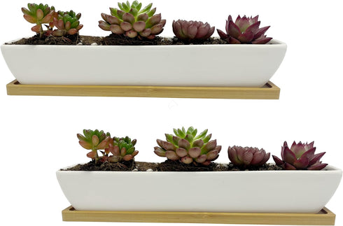 White Succulent Planter Pot Set of 2 - 11.1x2.36x1.77 Inch Long Rectangular Modern Ceramic with Saucer for Office