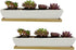 White Succulent Planter Pot Set of 2 - 11.1x2.36x1.77 Inch Long Rectangular Modern Ceramic with Saucer for Office