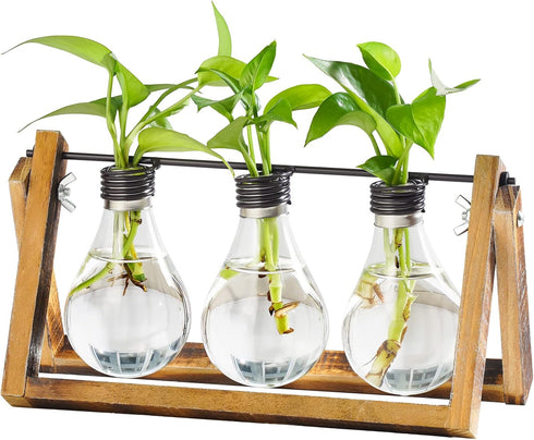 Marbrasse Plant Propagation Stations with Wooden Stand, Desktop Plant Terrarium Holder Bulb