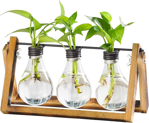 Marbrasse Plant Propagation Stations with Wooden Stand, Desktop Plant Terrarium Holder Bulb