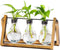Marbrasse Plant Propagation Stations with Wooden Stand, Desktop Plant Terrarium Holder Bulb