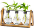 Marbrasse Plant Propagation Stations with Wooden Stand, Desktop Plant Terrarium Holder Bulb