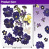 Flowers for Resin Model, Real Pressed Flowers Dry Leaves Bulk Natural Herbs Kit for Scrapbooking DIY Art Crafts, Epoxy