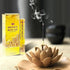 Hem Money House Incense Sticks (120 Sticks, 6 Boxes) - 9 Inches Long, 20g per Box, Attract Positive Energy