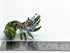 22k Seashell Hermit Crab Miniature Figurines Animals Hand Painted Blown Glass Art with Gold Trim Collectible Gift