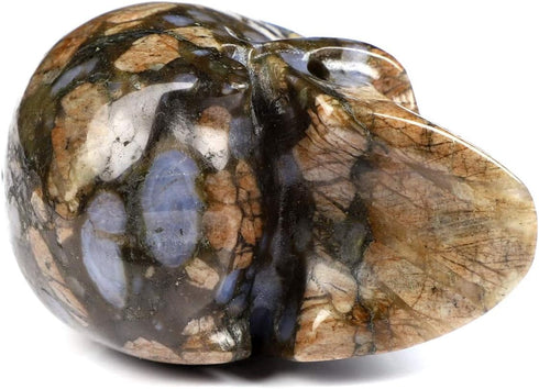 Skullis 2.0” Que Sera Stone Crystal Skull, Hand Carved Gemstone Fine Art Sculpture for Reiki Healing
