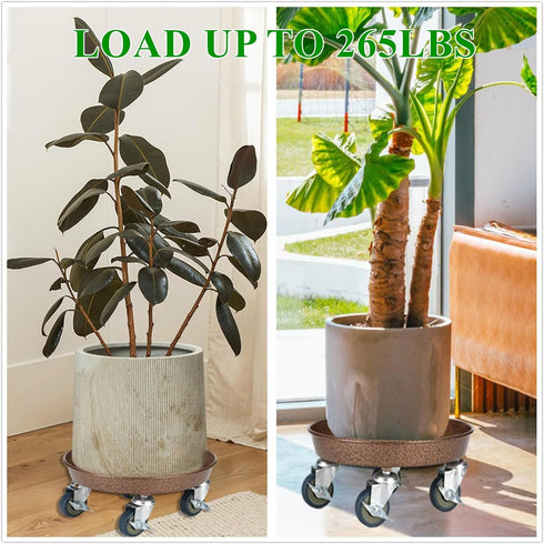 PRAQECZ 2 Pack 12" 265 LBS 360 Plant Caddy with Wheels, Rolling Plant Stand Heavy Duty Metal Tray No Holes with Large
