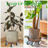 PRAQECZ 2 Pack 12" 265 LBS 360 Plant Caddy with Wheels, Rolling Plant Stand Heavy Duty Metal Tray No Holes with Large