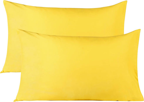 BEDSUM Microfiber Queen Pillowcases Set of 2 - Soft Wrinkle Resistant Pillow Cases with Envelope Closure, 20x30 inches,
