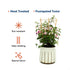 3Pack 16 Inch COLOtime Bamboo Trellis Fan Shaped Small Plant Trellis for Indoor Potted Plants Climbing Monstera Orchid