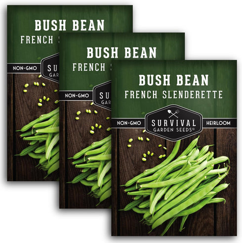 3 Packets French Slenderette Bush Bean Seeds for Planting with Instructions to