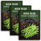 3 Packets French Slenderette Bush Bean Seeds for Planting with Instructions to