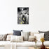 ZXHYWYM Highland Cow Canvas Wall Art, Black and White Cattle and Full Moon Pictures for Home Decor Framed 12" x 18"