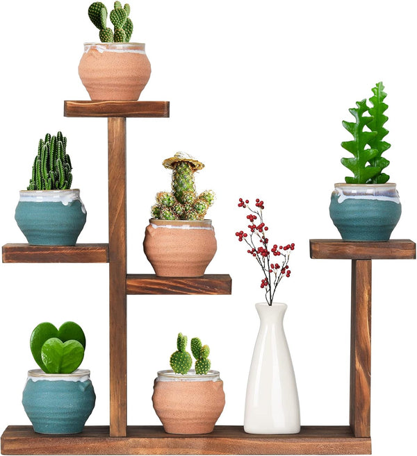 Wooden Tabletop Plant Stand, 5 Tier Succulent Plant Holder, Decorative Planter Holder for Living Room Home Office