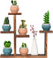 Wooden Tabletop Plant Stand, 5 Tier Succulent Plant Holder, Decorative Planter Holder for Living Room Home Office