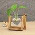 1 Kingbuy Terrarium with Wooden Stand, Desktop Propagation Station, Air Plant Holder, Metal Swivel Holder