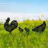 EZTZEN Chicken Metal Garden Stakes Decorative,Chicken Gifts for Women/Men/Chicken Lovers Gifts,Black Chicken Silhouette
