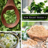 Packet (1) Sow Right Seeds - Cilantro Seeds for Planting - Non-GMO Heirloom with Instructions to Grow a Kitchen Herb