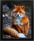 8x10" "Cute Woodland Fox" Wall Art Print - Unframed Forest Animal Print Ideal For Home decor, Nursery Decor,Woodlands