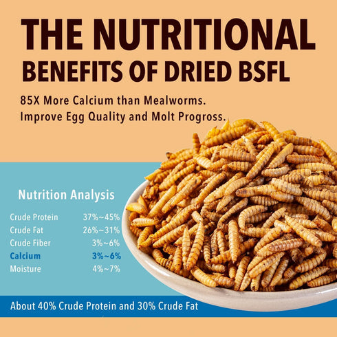 10lb Birds(10 WormsFarm Dried Black Soldier Fly Larvae Treat for Chickens More Calcium Than Mealworms,for Laying