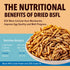 10lb Birds(10 WormsFarm Dried Black Soldier Fly Larvae Treat for Chickens More Calcium Than Mealworms,for Laying