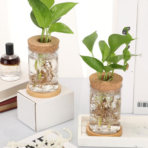 9 Packs Baderke Propagation Vases for Plants Plastic Plant Propagation Station with Hole Lid and Bamboo Stand Growing