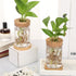 9 Packs Baderke Propagation Vases for Plants Plastic Plant Propagation Station with Hole Lid and Bamboo Stand Growing