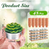 48 Shihanee Pcs Bulk Succulent Candles Decorative Cactus Tealight Candles Handmade Mini Terracotta Clay Holders House