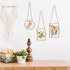 Relaxing Garden Pressed Flower Craft Kit for Adults & Women, DIY Floating Double Glass Frame Kit with Real Dried