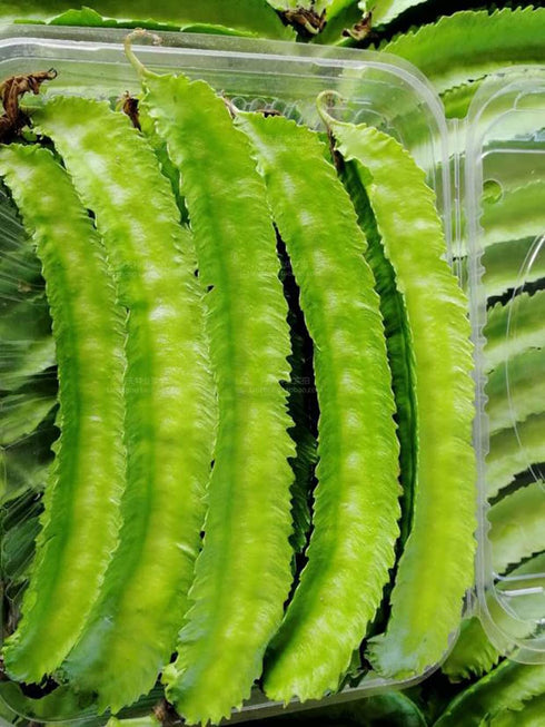 VAACNEE 15pcs MOCCUROD Winged Pea Seeds Four Angled Bean Dragon Bean Seeds