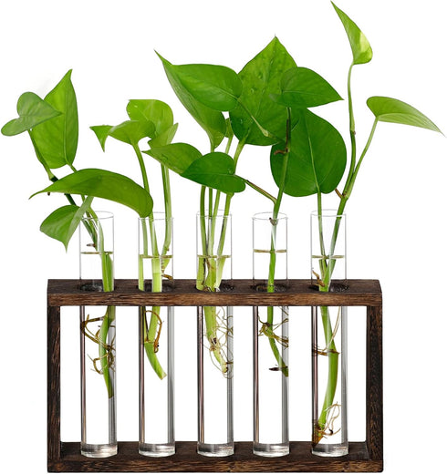 XXXFLOWER Wall Hanging Terrarium Planter with 5 Test Tubes, Indoor Plant Decor for Garden Lovers