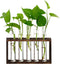 XXXFLOWER Wall Hanging Terrarium Planter with 5 Test Tubes, Indoor Plant Decor for Garden Lovers