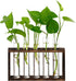 XXXFLOWER Wall Hanging Terrarium Planter with 5 Test Tubes, Indoor Plant Decor for Garden Lovers