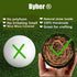 BYHER Handmade Natural Green Moss Decorative Ball, Set of 6 (3.5")