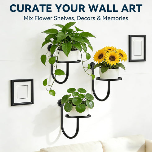 XNGZY 3 Pack Wall Planters for Indoor Plants, Wall Mounted Plant Holder, Metal Plant Floating Decor Shelves, Space