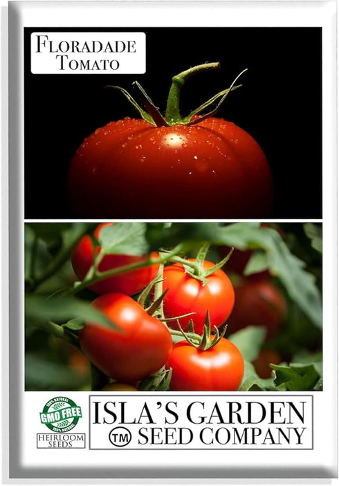 Floradade Tomato Seeds for Planting, 300+ Heirloom Seeds Per Packet, (Isla's Garden