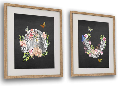 GnosisCollageArt Dental Art Human Teeth Anatomy, Flower Butterflies Set of 2 Unframed Prints