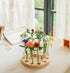 Melphoe Glass Bud Vases Small Flower Vase for Centerpieces Wedding Table Decorations, Home Decor, Propagation Station