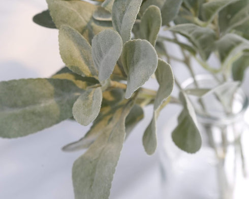 SUUKI Faux Lambs Ear Stems (5Pcs) Flocked Artificial Greenery for Home Wedding DIY Craft Floral Arrangement