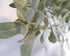 SUUKI Faux Lambs Ear Stems (5Pcs) Flocked Artificial Greenery for Home Wedding DIY Craft Floral Arrangement