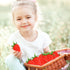 FOIMAS Strawberries,24pcs Artificial Lifelike Faux Strawberries Fruit Simulation for Home Decoration Photography Prop