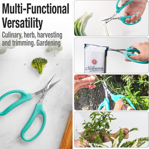 Beaditive Culinary Herb Scissors - Compact 6.5-Inch Stainless Steel Kitchen Scissors for Snipping Fresh Herbs