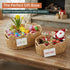 Set 2,Water Coeusy Scalloped Basket of Hyacinth Basket for Organizing and Decor,Hand-Woven Wicker Storage Baskets