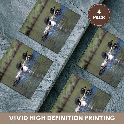 3dRose cst_3106_3 Family of Three Loons - Ceramic Tile Coasters, Set of 4