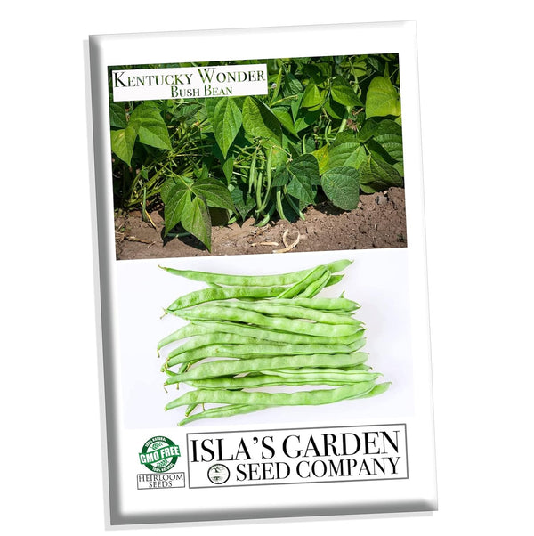 Kentucky Wonder Bush Bean Seeds for Planting, 30+ Heirloom Seeds Per Packet,