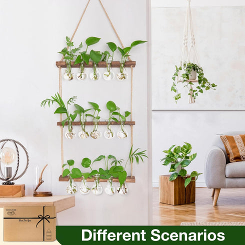 5 Bulb 3 XXXFLOWER Wall Hanging Propagation Station with Wooden Stand Vase Tiers Planters Wall Terrarium for Home